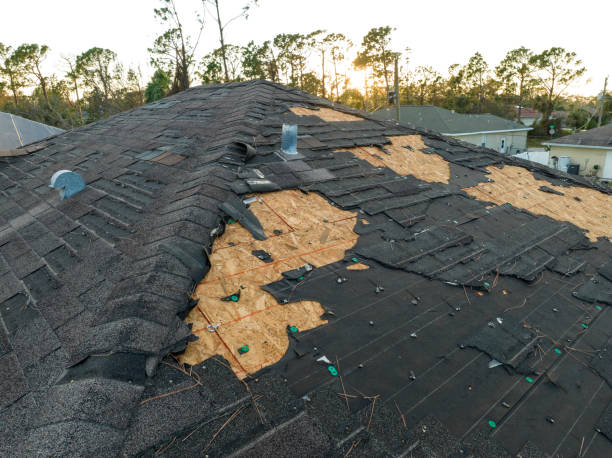 Best Rubber Roofing (EPDM, TPO)  in Merrifield, VA